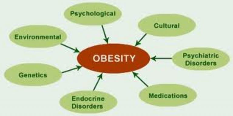 6 Major Factors That Causes Obesity Rice And Gold Nyc